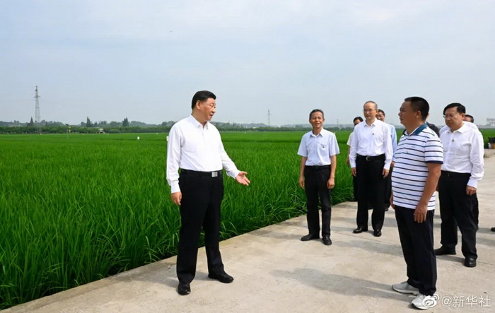 习近平在四川眉山市考察调研1.jpg