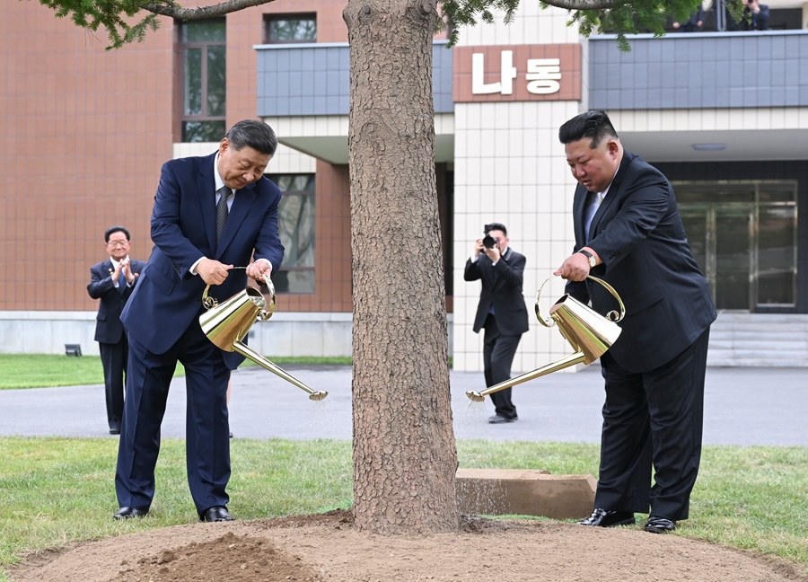 当地时间6月9日上午，中共中央总书记、国家主席习近平在朝鲜劳动党总书记、国务委员长金正恩陪同下，参访位于平壤的朝鲜劳动党中央干部学校。这是在教学楼之间的林地上，习近平和金正恩共同种下一株枞树。新华社记者 燕雁  摄.jpg