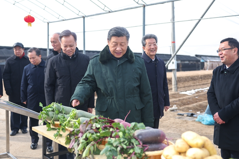 2月1日至2日，中共中央总书记、国家主席、中央军委主席习近平来到天津，看望慰问基层干部群众。这是1日上午，习近平在西青区辛口镇第六埠村考察，实地察看去年洪涝灾害后当地农业生产恢复等情况。新华社记者 鞠鹏 摄.jpg