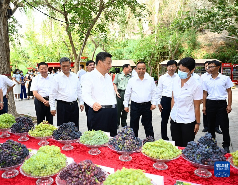 7月12日至15日，中共中央总书记、国家主席、中央军委主席习近平在新疆考察。这是14日，习近平在吐鲁番市葡萄沟察看吐鲁番特色水果展示，了解当地发展葡萄特色产业、促进文旅融合发展等情况。新华社记者 李学仁 摄.jpg