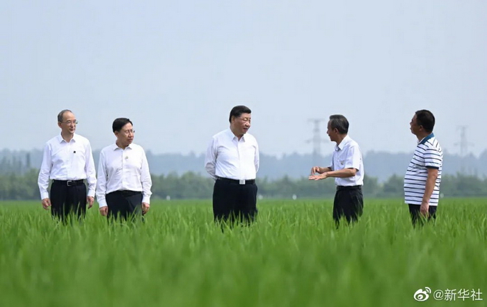 习近平在四川眉山市考察调研2.jpg