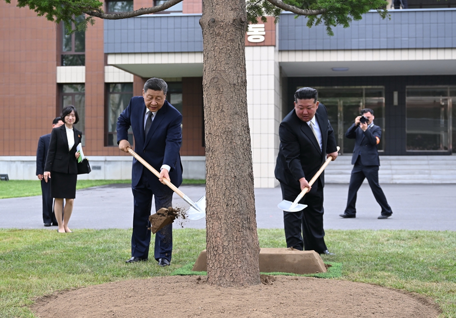当地时间6月9日上午，中共中央总书记、国家主席习近平在朝鲜劳动党总书记、国务委员长金正恩陪同下，参访位于平壤的朝鲜劳动党中央干部学校。这是在教学楼之间的林地上，习近平和金正恩共同种下一株枞树。新华社记者 燕雁 摄.jpg