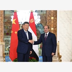 习近平同埃及总统塞西会谈