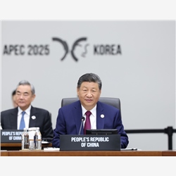 习近平出席亚太经合组织第三十二次领导人非正式会议并发表重要讲话